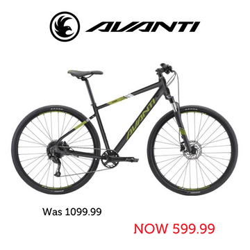 Avanti X-Plorer MS 2